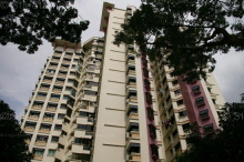 Blk 289D Bukit Batok Street 25 (Bukit Batok), HDB 5 Rooms #342092